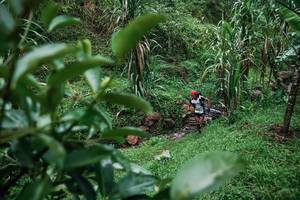 BIB: 
                            <button type="button" onclick="openModal(26200131)" class="btn btn-primary btn-sm float-right btn-popup" data-toggle="modal" data-target=".modal-high-quality">
                        <i class="fas fa-shopping-cart"></i> Add to Cart
                    </button>
                                            <button type="button" onclick="isThisMe(26200131, true)" class="btn btn-success btn-sm float-right btn-popup btn-isme hidden" data-toggle="tooltip" data-placement="bottom" title="นี่คือรูปของคุณใช่ไหม คลิกที่นี่เพื่อเอาเข้าอัลบั้ม">
                        <i class="fas fa-plus"></i> Add to album
                    </button>
                    <button type="button" onclick="isThisMe(26200131, false)" class="btn btn-warning btn-sm float-right btn-popup btn-isnotme hidden">
                        <i class="fas fa-ban"></i> Remove from album
                    </button>